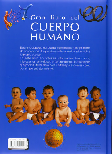 El Gran Libro Del Cuerpo Humano