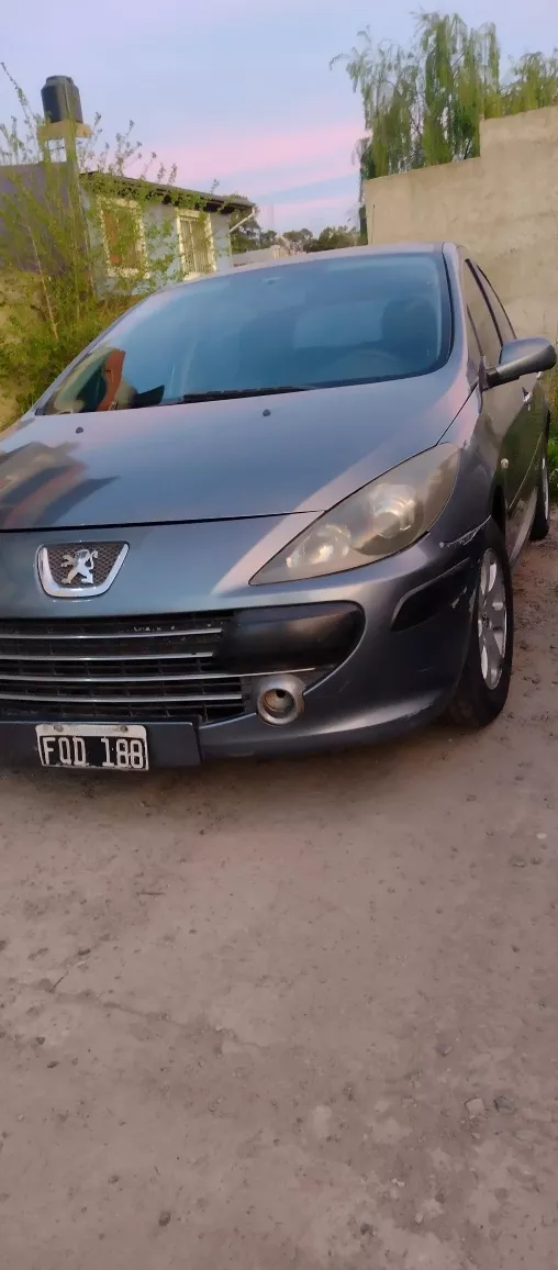 Peugeot 307 1.6 Xs