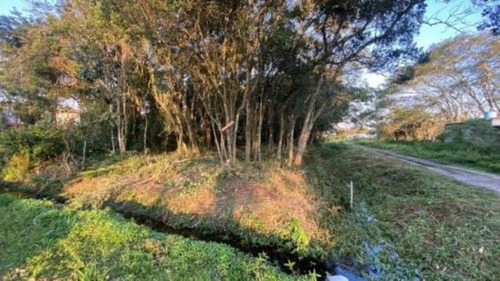 Imagem 3 de 7 de Terreno De Esquina No Litoral, Com 290 M2, Em Itanhaém