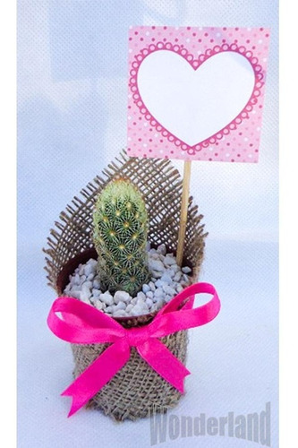 40 Souvenir Cactus Y Suculentas Arpillera Raso Tarjetita