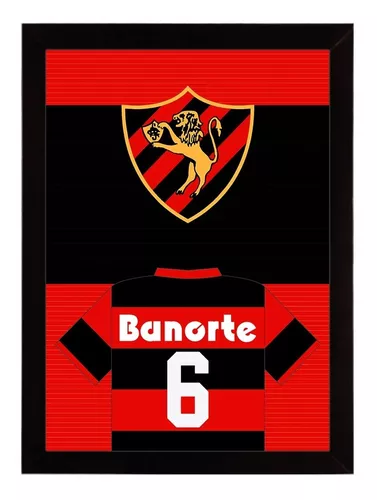 Sport Club do Recife