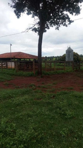 Imagem 25 de 25 de Fazenda Com 178 Hectares Rica Em Agua Em Felixlandia Mg - 36425