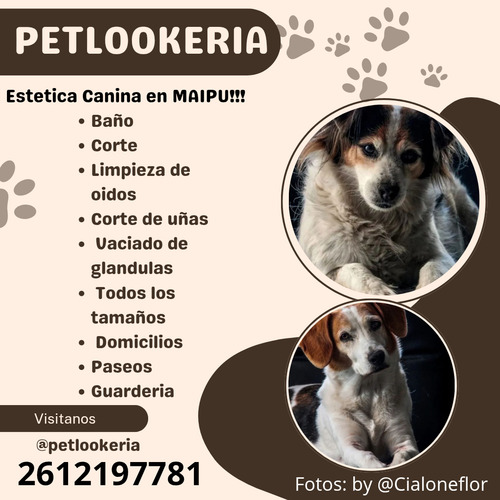 Peluqueria Canina