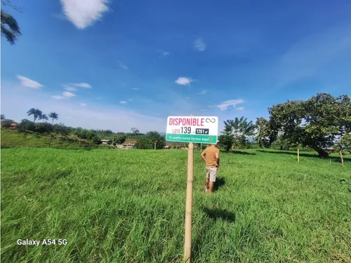 Venta Lotes En Quimbaya -quindío Colombia Cod: 7555717