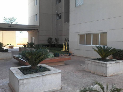 Apartamento À Venda, 76 M² Por R$ 429.000,00 - Jardim Rosa De Franca - Guarulhos/sp - Ap15693