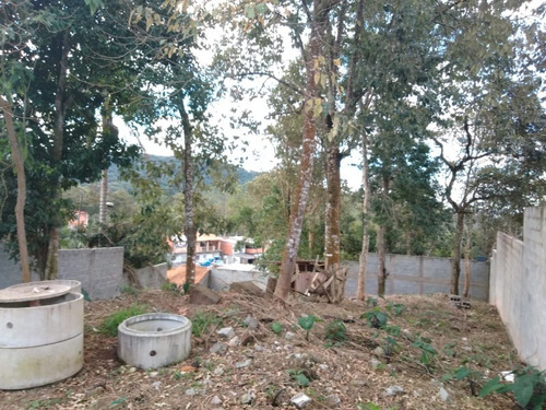 Imagem 7 de 7 de Terreno - Te00011 - 69539353