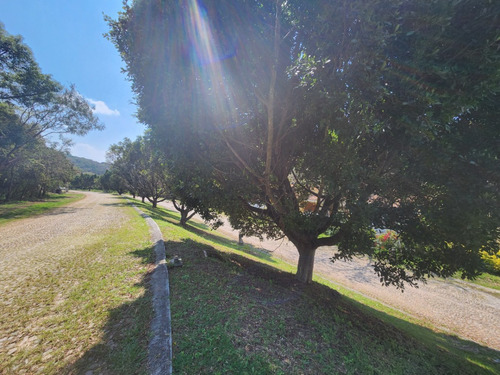 Venta De Lote San Diego 8 Sobre Boulevard Muy Cerca De Las Amenidades Y Del Hotel Del Fracc Rancho San Diego Ixtapan De La Sal Edomex. Se Incluye Proyecto
