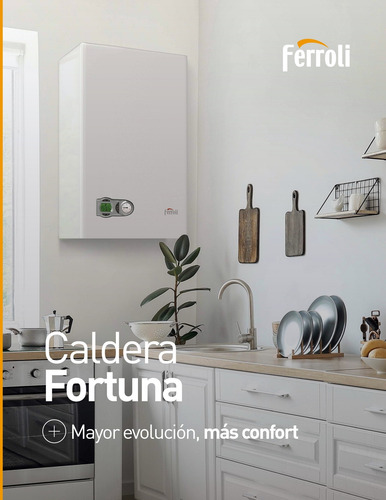 Caldera Ferroli Fortuna F32 Gas Natural Dual Tiro Forzado