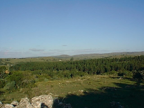 Imagen 6 de 6 de 330 Has Ganaderas En Lavalleja, Molles De Aiguá.
