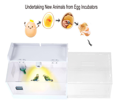 Caja De Criadores De Pollos Iarge-scale Incubadora De Huevos