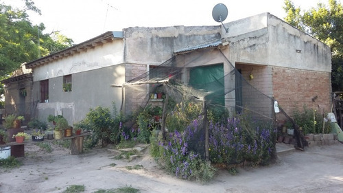 Imagen 8 de 14 de Finca En Las Paredes - 10 Hectareas 1º Regante