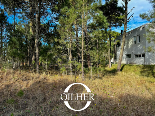 Terreno En Venta! Ubicado En Barrio Alamos! Planos Y Proyecto Aprobado!!