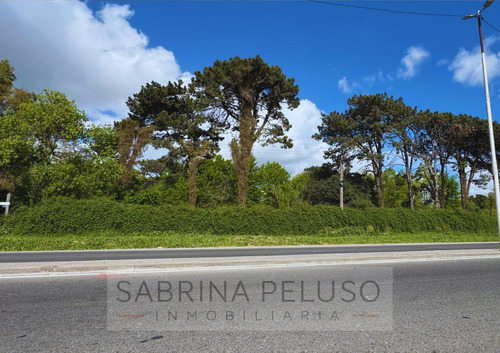 Las Tres Marias Finca Forestal - Moreno