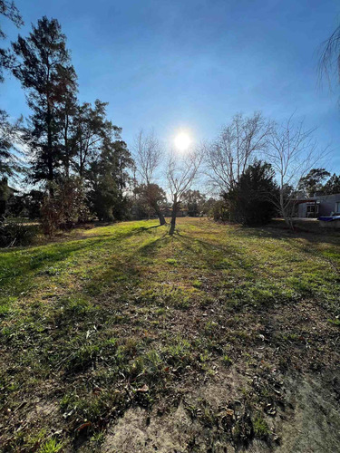 Imagen 12 de 15 de Lote Terreno Venta Mil Metros Excelente