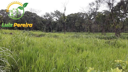 Imagem 4 de 15 de Fazenda À Venda Em Jaú - To - De 57 Alqueirões (pecuária) - 1771