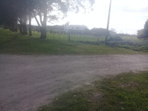 Imagen 10 de 17 de Lote Buenos Aires Costa Atlántica A 100 Mts Del Asfalto En El Acceso A Mar Del Sur L6