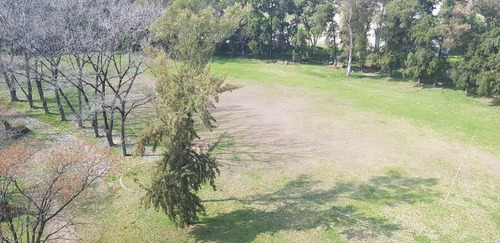Imagen 10 de 16 de Terreno - Bella Vista