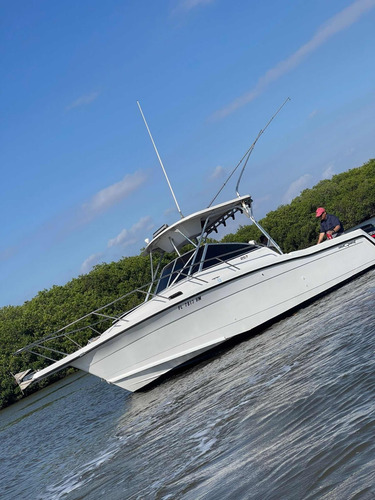 Yate Quest Modelo Saltfish 257 Walk Around