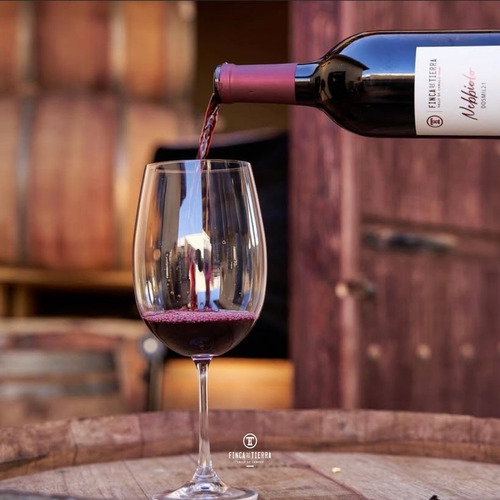 Finca De Tierra Vino Tinto Nebbiolo 2021 - Botella 750ml