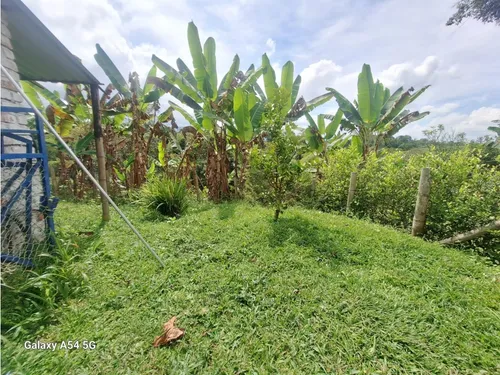 Venta Finca Circasia Quindio. Colombia Cod: 8481169
