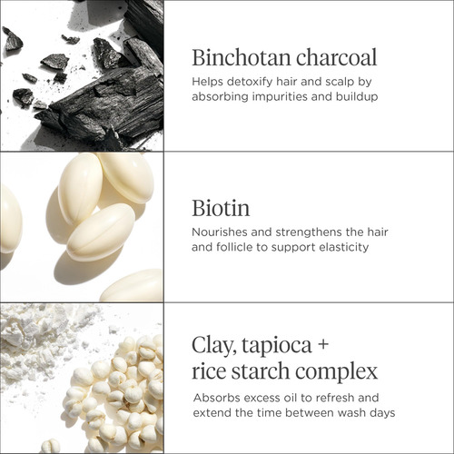 ChampĂș Seco Briogeo Scalp Revival Charcoal Biotin | Seco