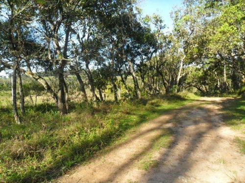 Imagem 5 de 11 de Terreno Residencial À Venda, Cocuera, Mogi Das Cruzes. - Te0006 - 33283274