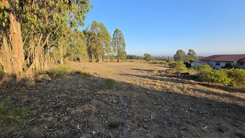 Parcelas Planas En Algarrobo Norte En Condominio Consolidado