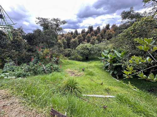 Encantador Casa Lote En Venta Uso Industrial Sector Aeropuerto
