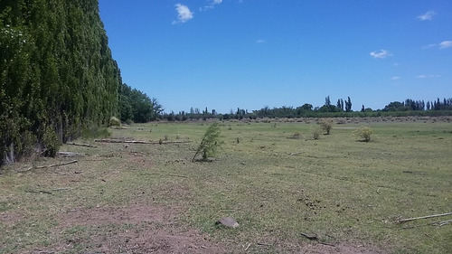 Vendo Finca Cuadro Benegas San Rafael Mendoza