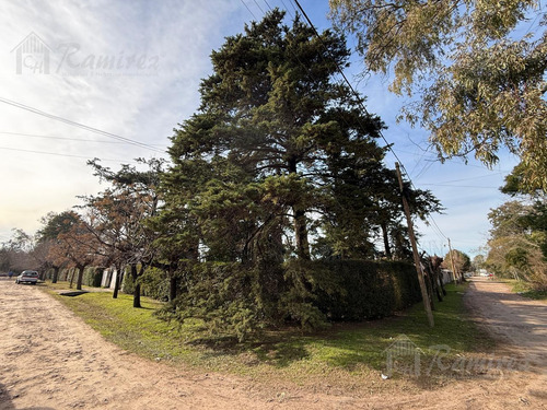Lotes Terrenos En Venta 411 M2 A 300 Mts. Acceso Oeste - Francisco Alvarez, Moreno