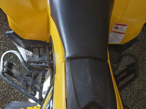 Can Am Ds 250