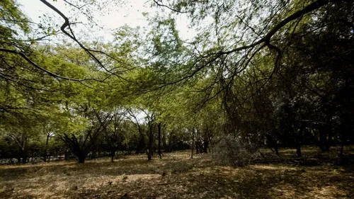 Lote En Venta En Peñalisa. Cod V16946