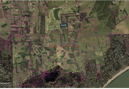 Imagen 2 de 8 de Venta De Chacra En Zona Rural De La Barra