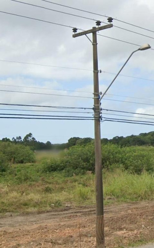 Imagem 12 de 15 de Área Com 15.756m2 De Frente Para A Sc 405 No Campeche - Te0681
