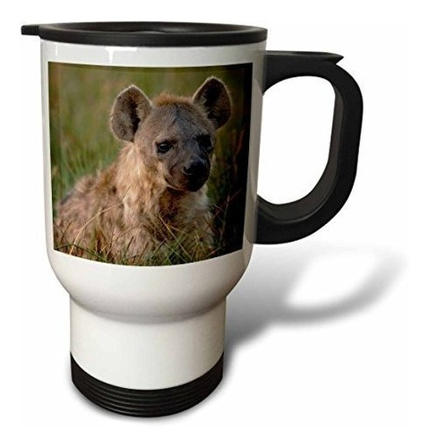 Vaso - 3drose Spotted Hyena, Chiefs Island, Okavango Delta B