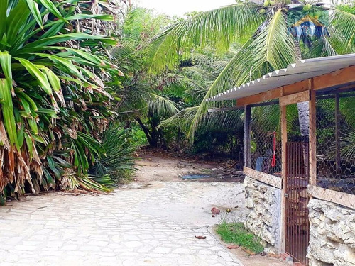 Imagem 13 de 15 de Casa Beira Mar À Venda - Praia De Tabatinga - Conde - Litoral Sul Da Paraiba - Ca0172