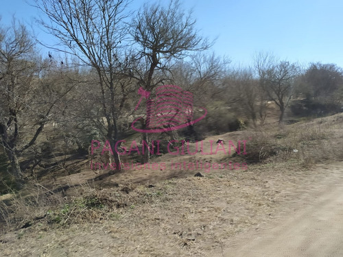 Imagen 12 de 17 de (cod 598) Terreno En Venta Es Estancia Vieja, Cerca De La Ruta