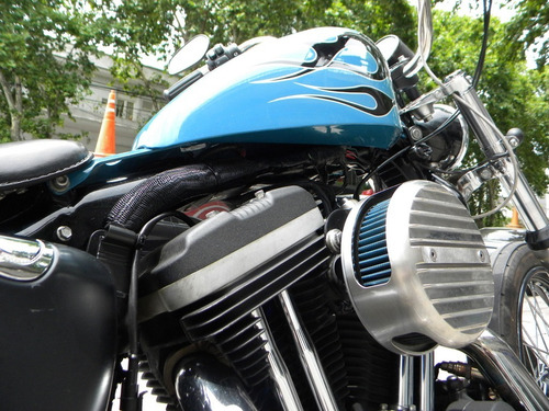 Imagen 11 de 15 de Harley Davidson Xl Sportster 883r