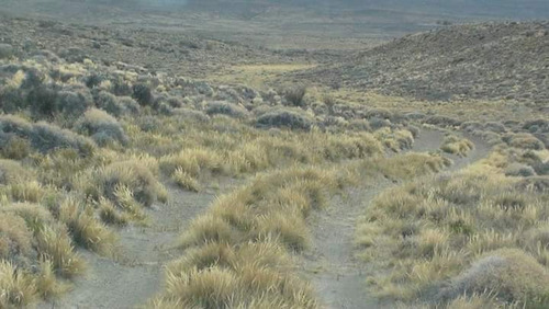 Oportunidad!!! Campo Minero Ganadero Acepta Financiación