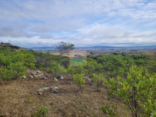 Imagen 25 de 30 de 79 Hás Campo Criador Y Serrano En Corte De La Leña