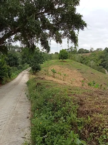 Se Vende Finca Alcalá Valle Del Cauca
