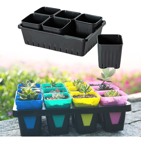 Maceta Para Trasplante De Plántulas, Caja De 6 Rejillas