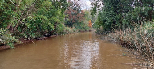 Imagen 7 de 29 de Oportunidad Liquido Lote Isla Delta San Fernando