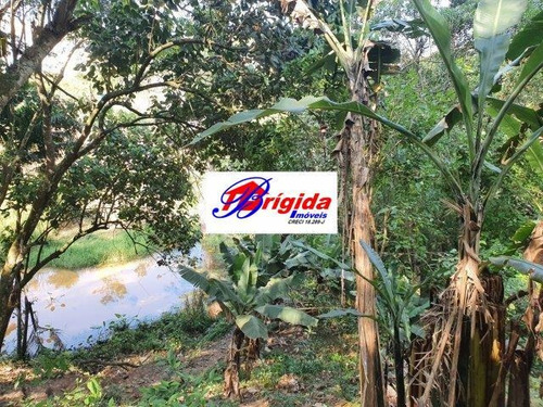 Imagem 3 de 6 de Imperdível Terreno De 5.040metros No Colibri, Cotia! - Te030