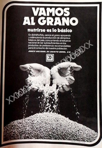 Cartel Retro Banco Banrural 1981 /123