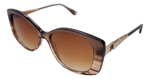 Óculos Solar Ana Hickmann Paula 1 Ah90046 G02 Lente Degradê Cor Marrom