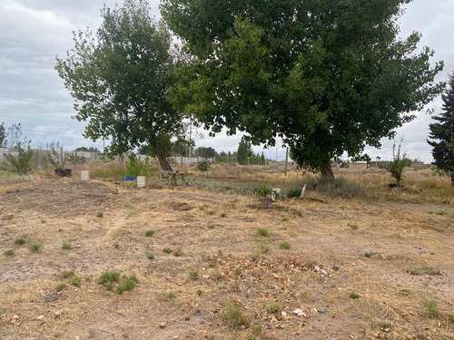 Imagen 15 de 15 de Chacra En Alquiler - Galpón - Ciudad Industrial - Neuquén