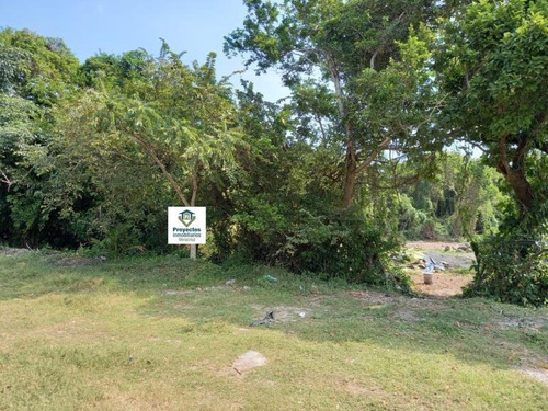 Imagen 5 de 8 de Terreno En Venta Playa De Vacas