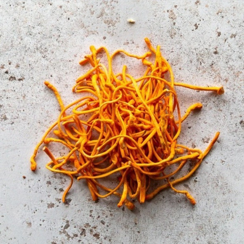 Cordyceps Extracto Liofilizado 10:1 Polvo Vegano Y Orgánico