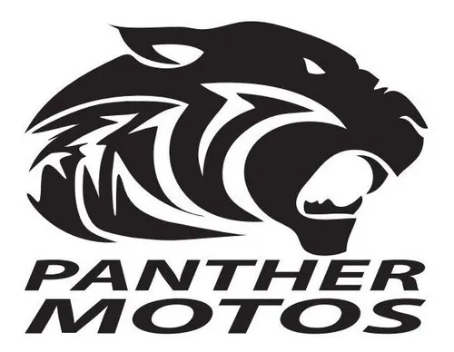 Estator Gilera Fr 250r Bicilindrico. En Panther Motos